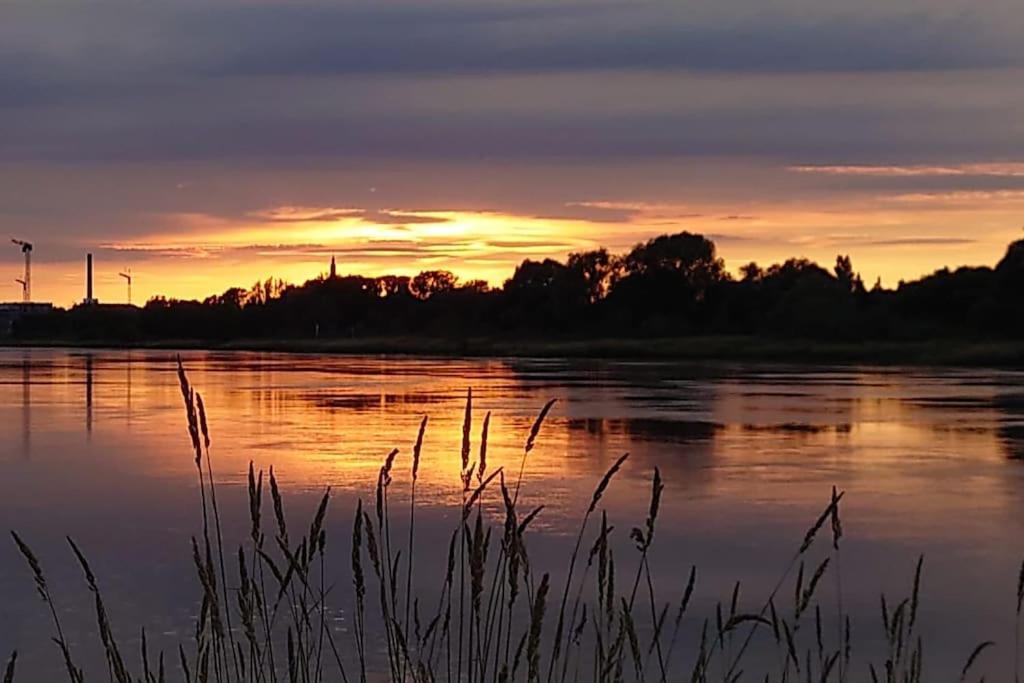 Pool, Sauna Und Blick Ins Gruene Wittenberg Exteriör bild